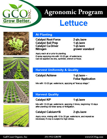 lettuce_nutrition-program_catalyst_gco-1