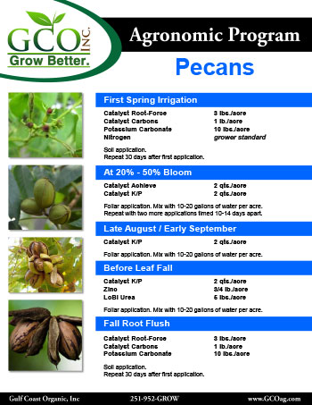 pecan_nutrition-program_catalyst_gco-1